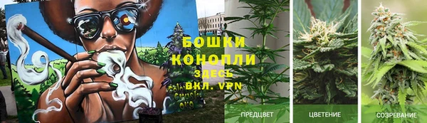 ГАЛЛЮЦИНОГЕННЫЕ ГРИБЫ Богородск